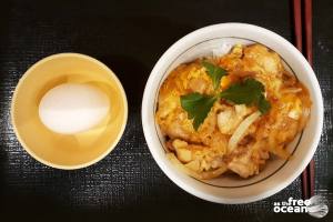 JAPANESE FOOD UDON