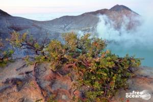 MOUNT IJEN INDONESIA