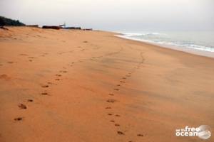BATTICALOA SRI LANKA