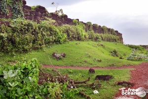 GOA INDIA