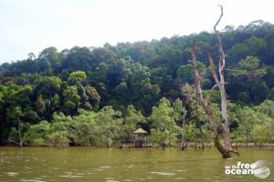 BAKO NATIONAL PARK MALAYSIA