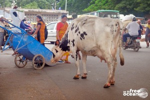 BENGALURU BANGALORE INDIA