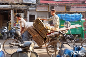 NEW DELHI INDIA