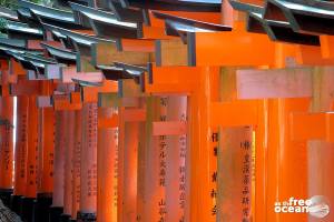 CURIOUS THINGS ABOUT JAPAN