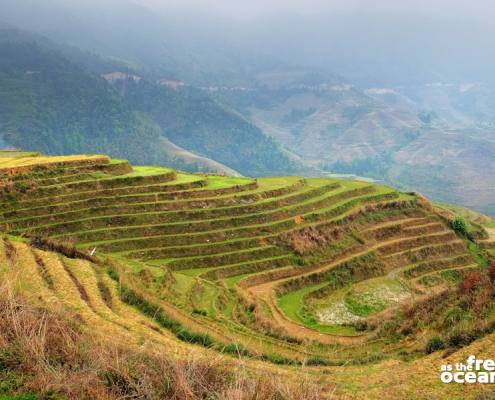 LONGJI RICE TERRACES GUILIN CHINA