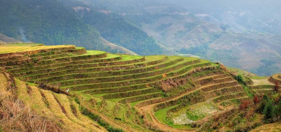 LONGJI RICE TERRACES GUILIN CHINA