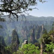 ZHANGJIAJIE NATIONAL PARK CHINA