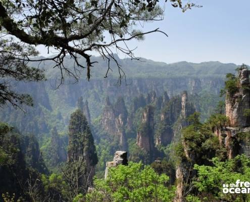 ZHANGJIAJIE NATIONAL PARK CHINA