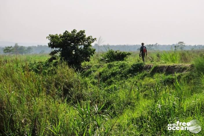 CHITWAN NATIONAL PARK NEPAL