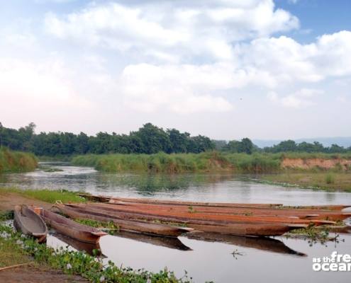 CHITWAN NATIONAL PARK NEPAL