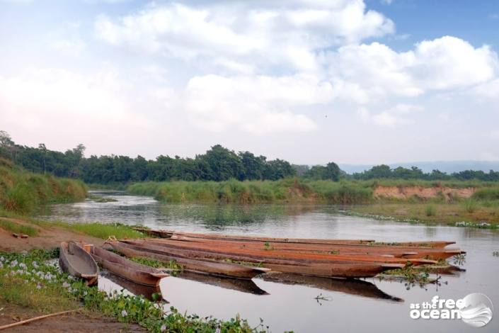 CHITWAN NATIONAL PARK NEPAL