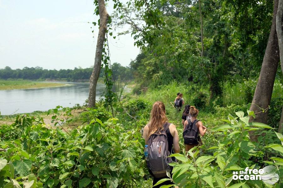 CHITWAN NATIONAL PARK NEPAL