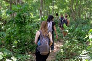 CHITWAN NATIONAL PARK NEPAL