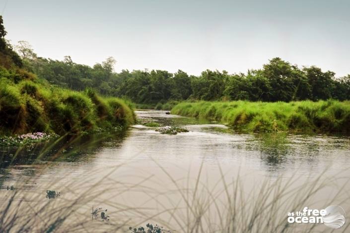 CHITWAN NATIONAL PARK NEPAL