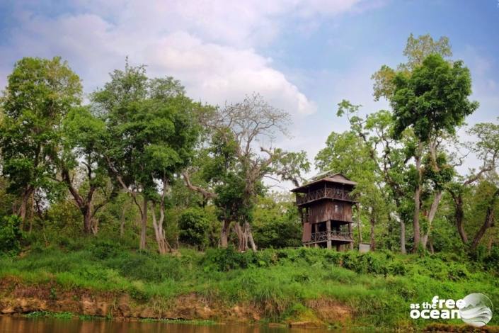 CHITWAN NATIONAL PARK NEPAL