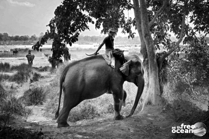 CHITWAN NATIONAL PARK NEPAL