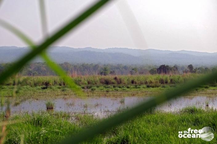 CHITWAN NATIONAL PARK NEPAL