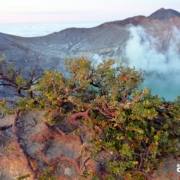 MOUNT IJEN INDONESIA