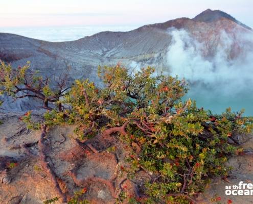 MOUNT IJEN INDONESIA