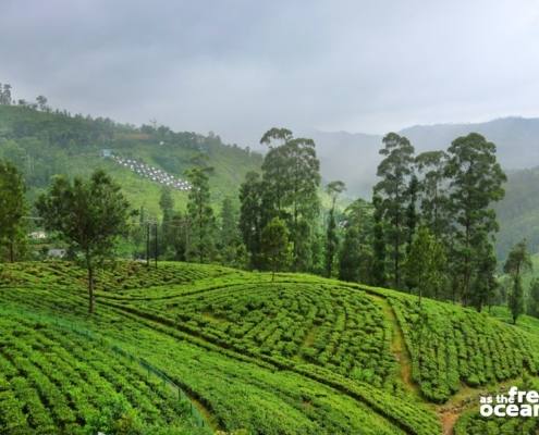 HATTON SRI LANKA