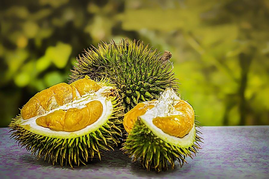 DURIAN FRUIT