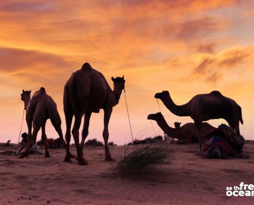 JAISALMER INDIA