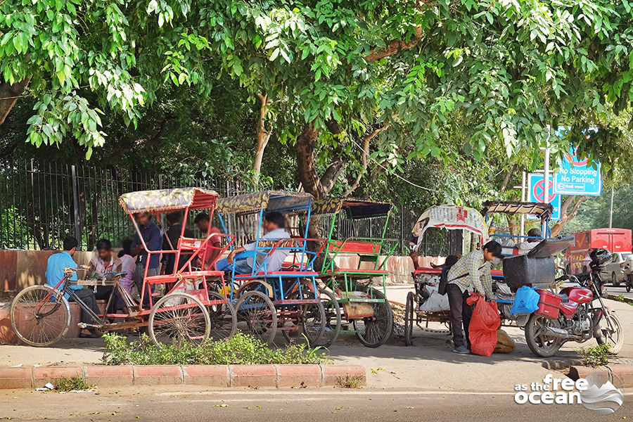 NEW DELHI INDIA