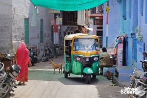 JODHPUR INDIA