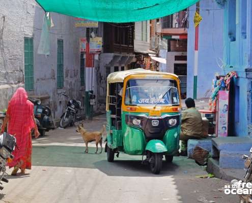 JODHPUR INDIA