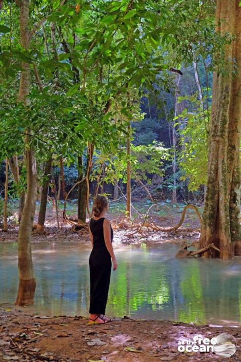 LUANG PRABANG WATERFALL LAOS