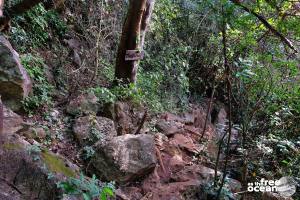 NONG KHIAW
