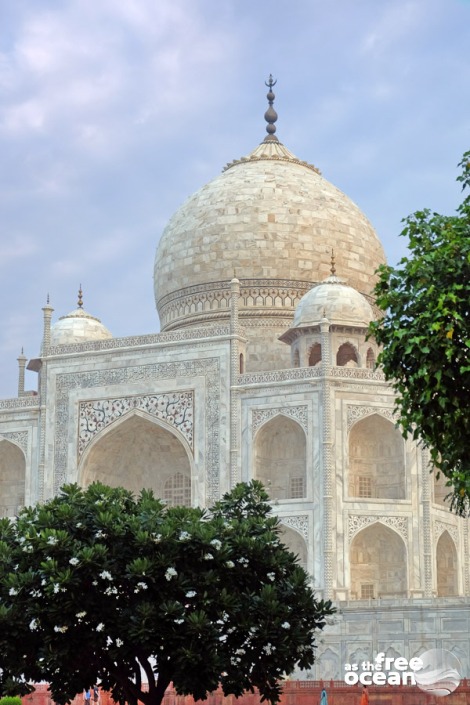 TAJ MAHAL AGRA INDIA