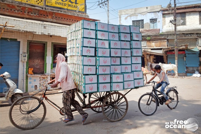 AGRA INDIA