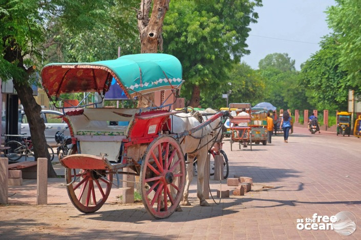 AGRA INDIA