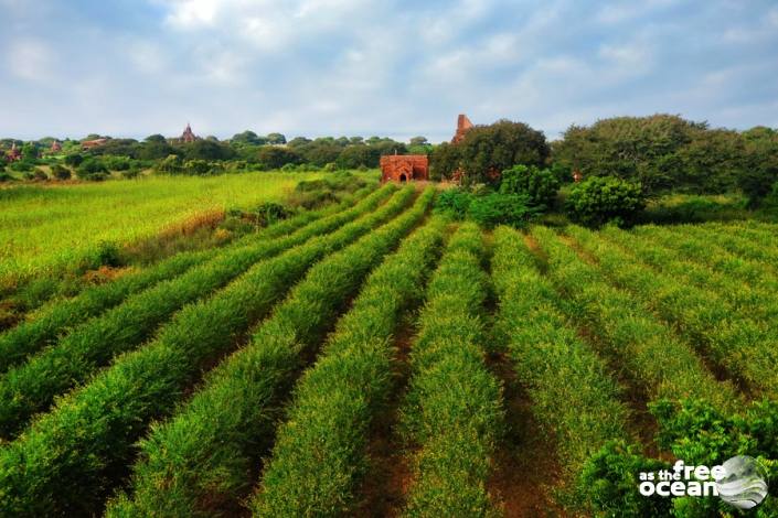 BAGAN MYANMAR