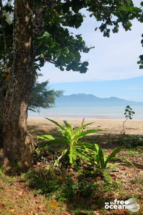 BAKO NATIONAL PARK MALAYSIA