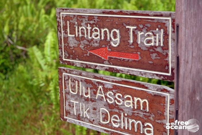 BAKO NATIONAL PARK MALAYSIA