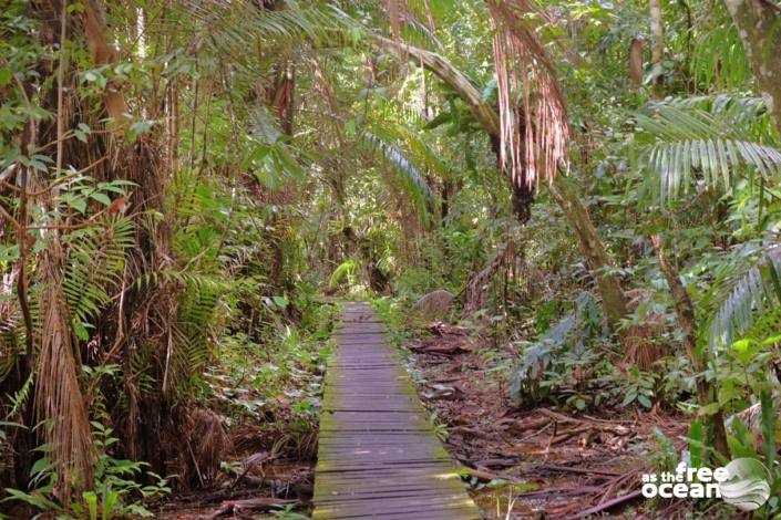 BAKO NATIONAL PARK MALAYSIA