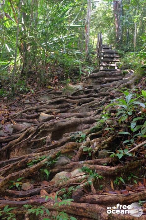 BAKO NATIONAL PARK MALAYSIA