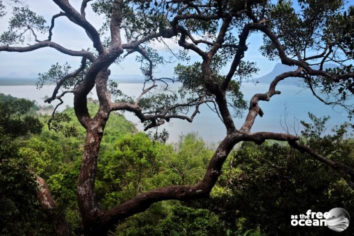 BAKO NATIONAL PARK MALAYSIA