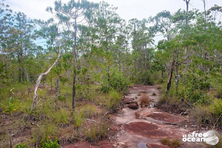 BAKO NATIONAL PARK MALAYSIA