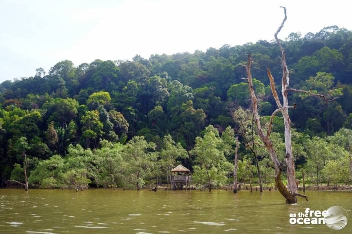 BAKO NATIONAL PARK MALAYSIA