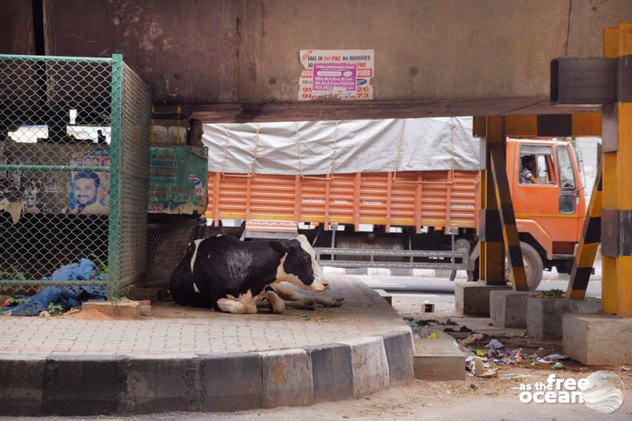 BENGALURU BANGALORE INDIA