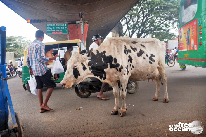 BENGALURU BANGALORE INDIA