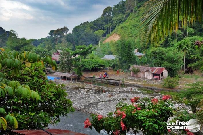 BUKIT LAWANG SUMATRA INDONESIA