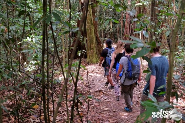 BUKIT LAWANG SUMATRA INDONESIA