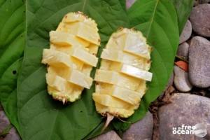 BUKIT LAWANG SUMATRA INDONESIA