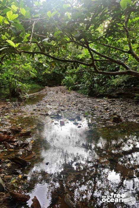 BUKIT LAWANG SUMATRA INDONESIA