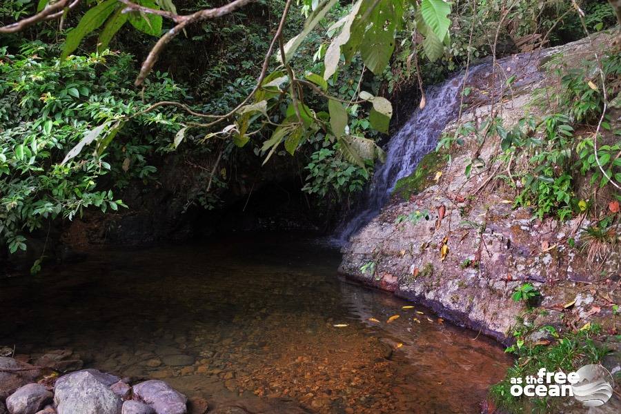 BUKIT LAWANG SUMATRA INDONESIA