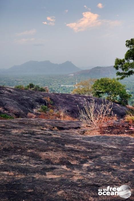 DAMBULLA SRI LANKA